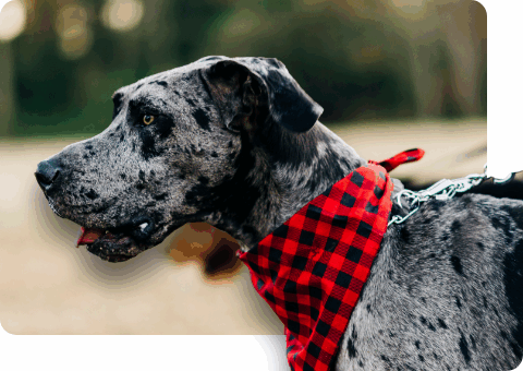 画像から背景を削除する1秒