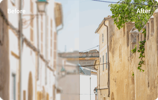 Bring Back More Colorful Details to Your Photos