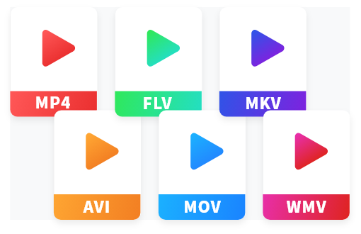 支持多種格式-MP4，AVI，MOV，MKV等