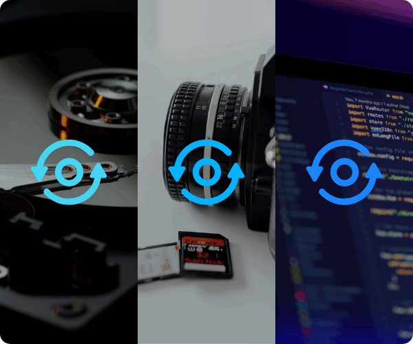 ファイルの種類