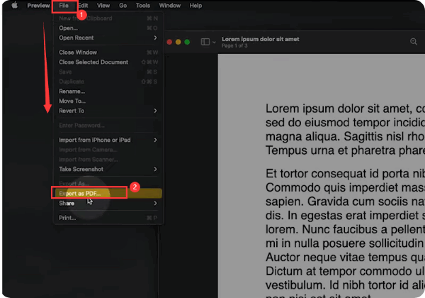 Düzeltme 2. Mac'te Word Belgesini PDF'ye Dönüştürme