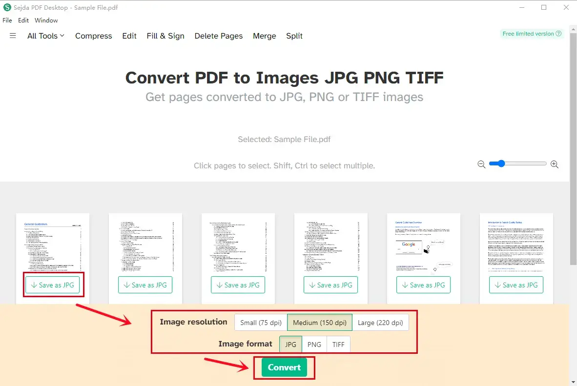 convert pdf to jpg in sejda pdf step 3