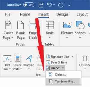 insert text in pdf to word