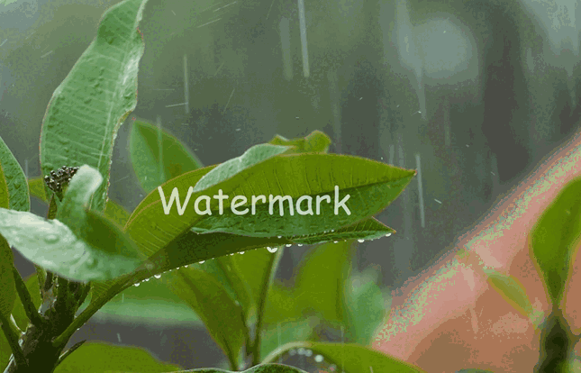 text watermark outcome by watermark eraser 