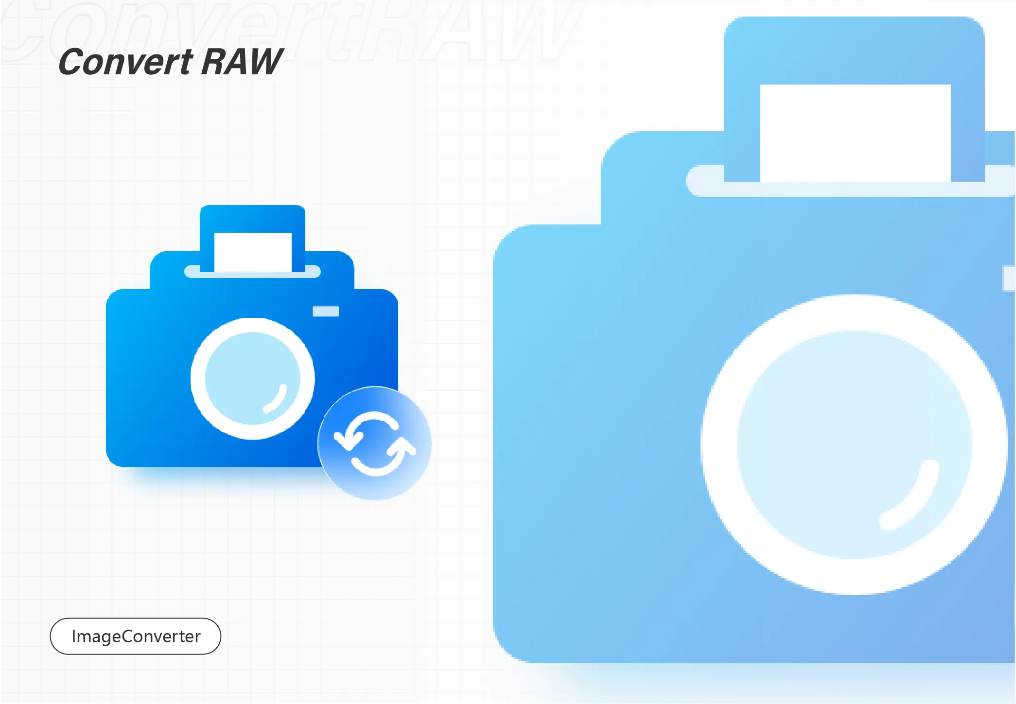 Convert RAW to JPEG on Windows | 3 FREE Solutions