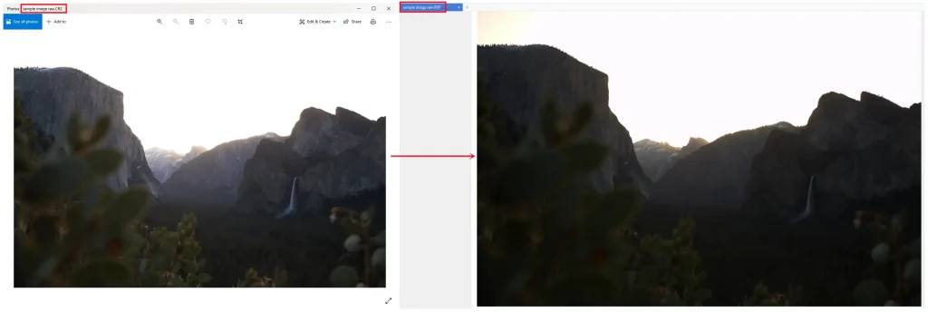 a comparison of raw and pdf converted by workintool