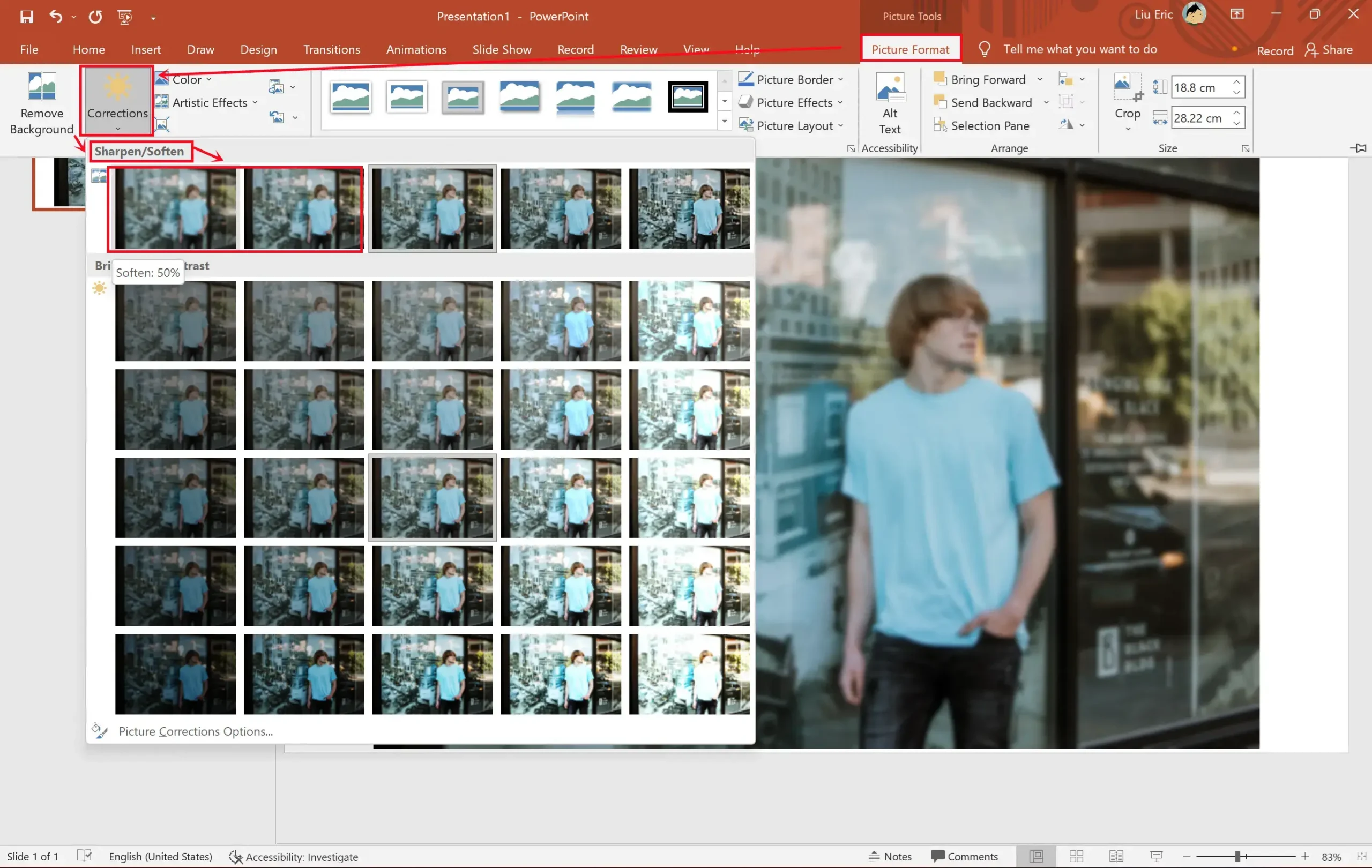blur a picture in ms ppt step 2