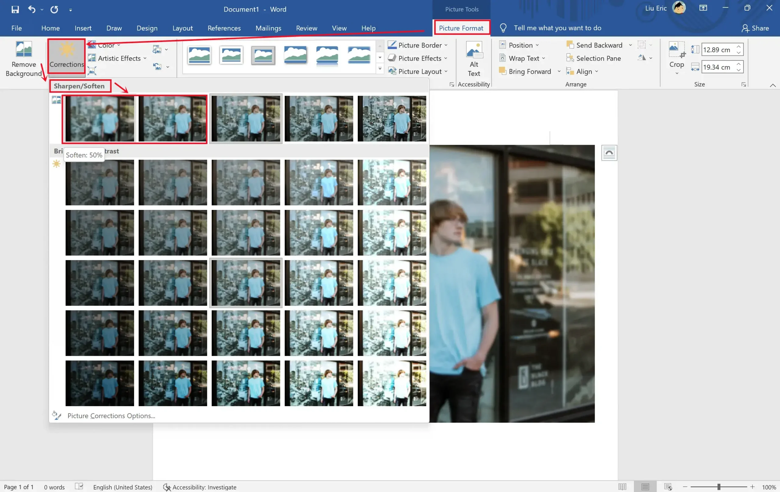 blur a picture in ms word step 2