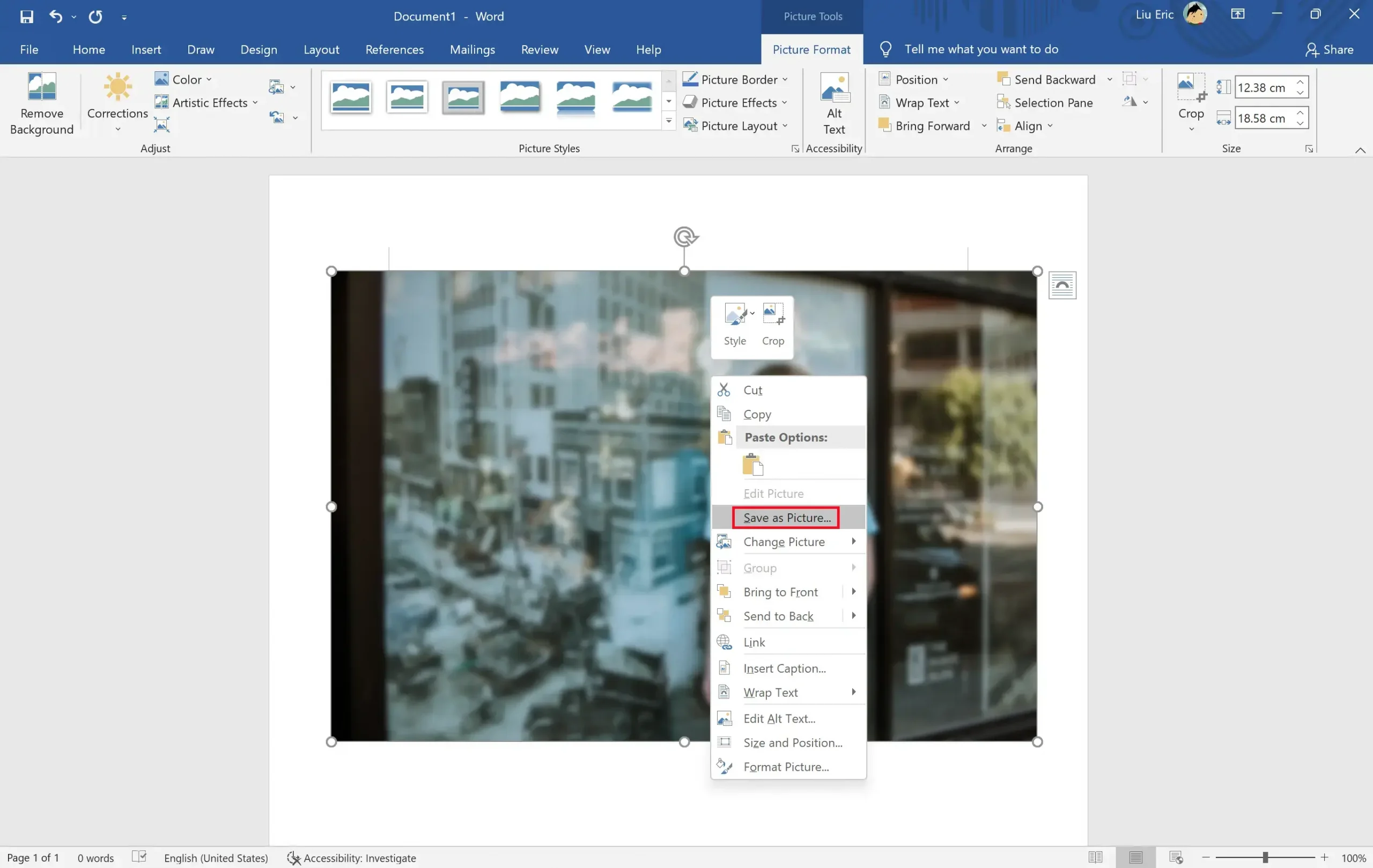 blur a picture in ms word step 4