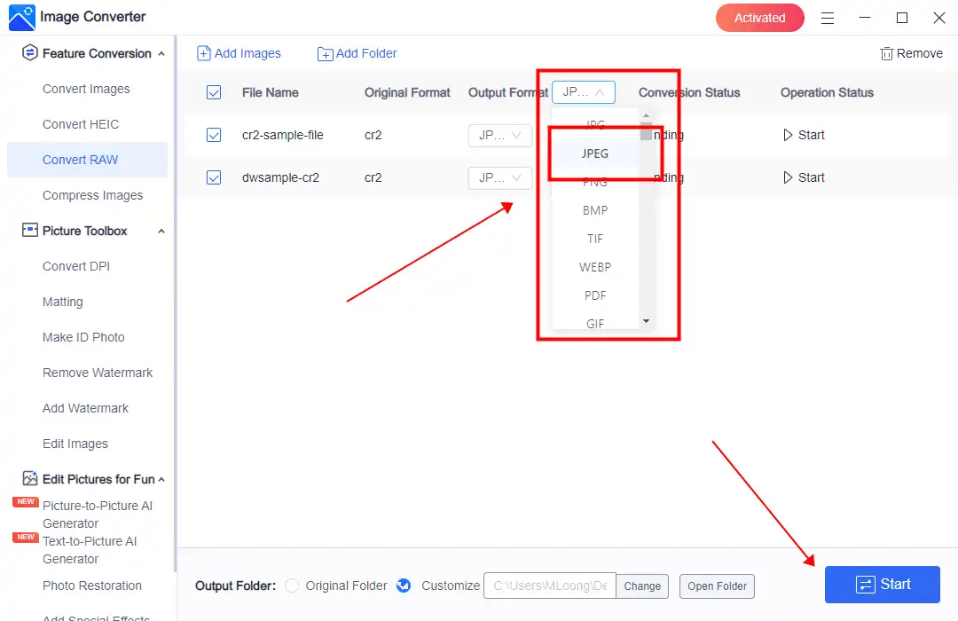 convert raw to jpeg in workintool step 2