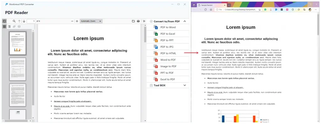 a comparison of pdf and html exported by workintool