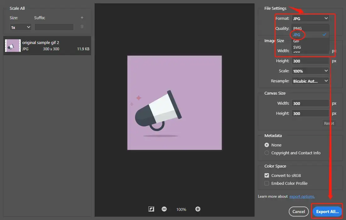 GIF to JPG: Learn the Most Efficient Ways to Change the GIF Format