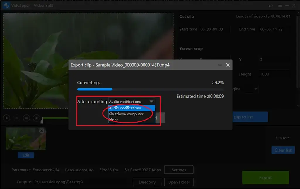 export status in vidclipper