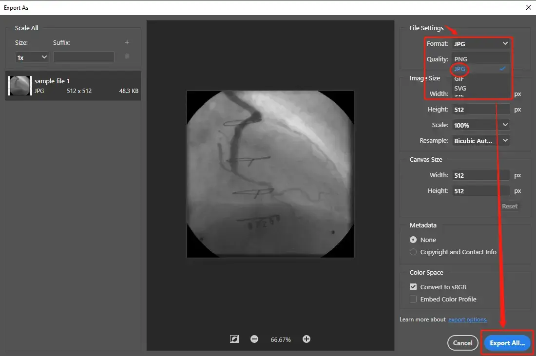 convert dcm to jpg through export as in photoshop step 2