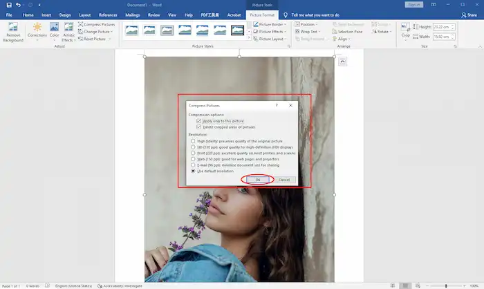 microsoft word compress pictures options and resolution setting