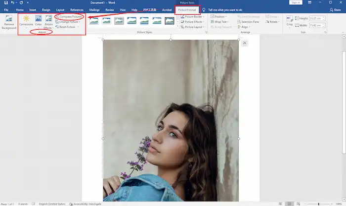 microsoft word compress pictures