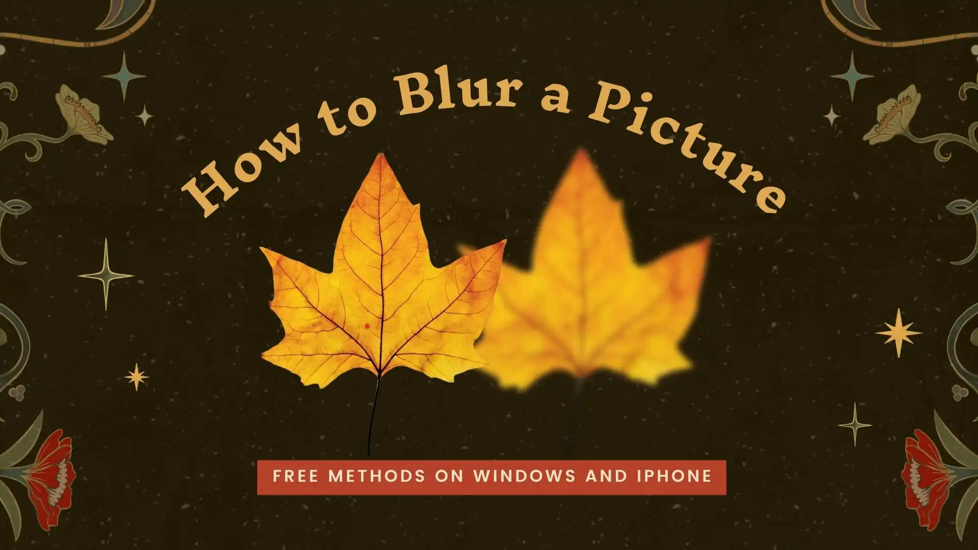 how to blur a picture