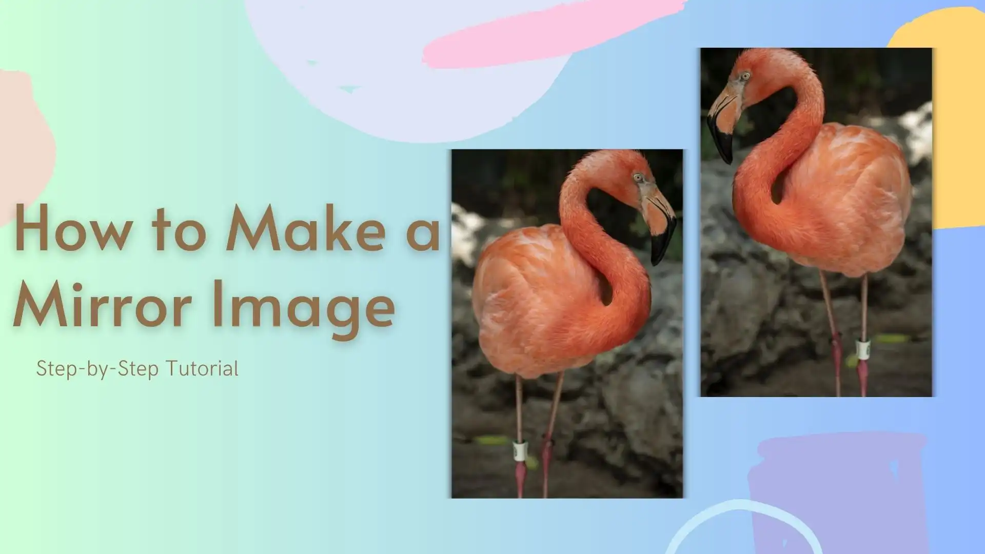 how to mirror an image poster