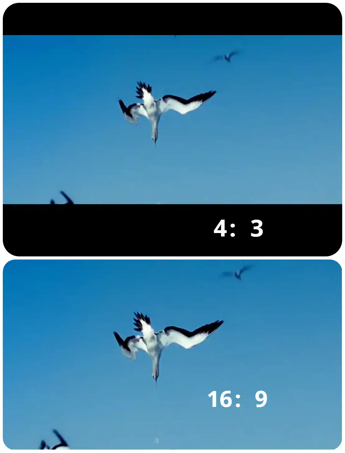 how to remove black bars from video 1