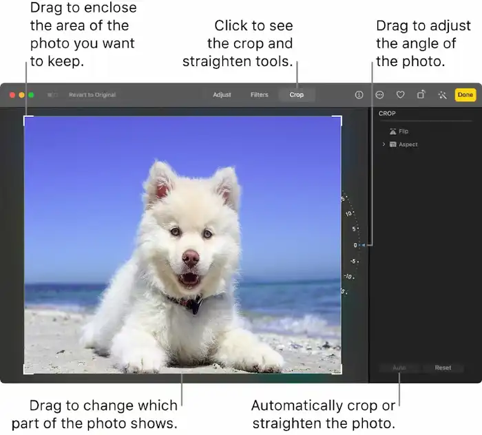 crop picture on mac photos