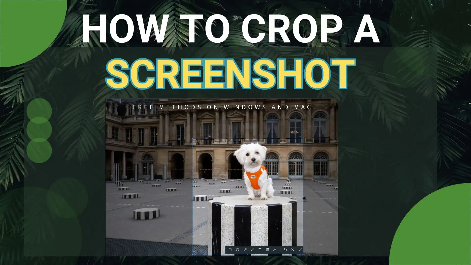 how to crop a screenshot
