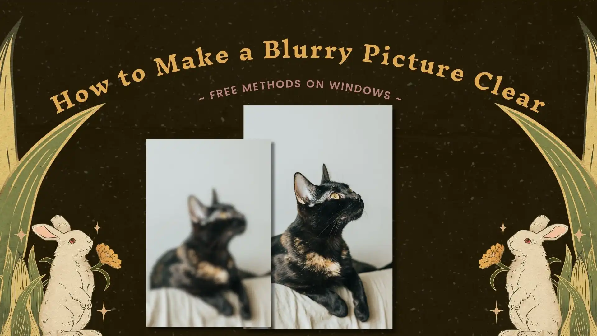 how to make a blurry picture clear