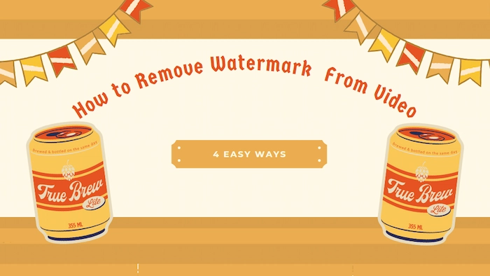 how-to-remove-watermark-from-video