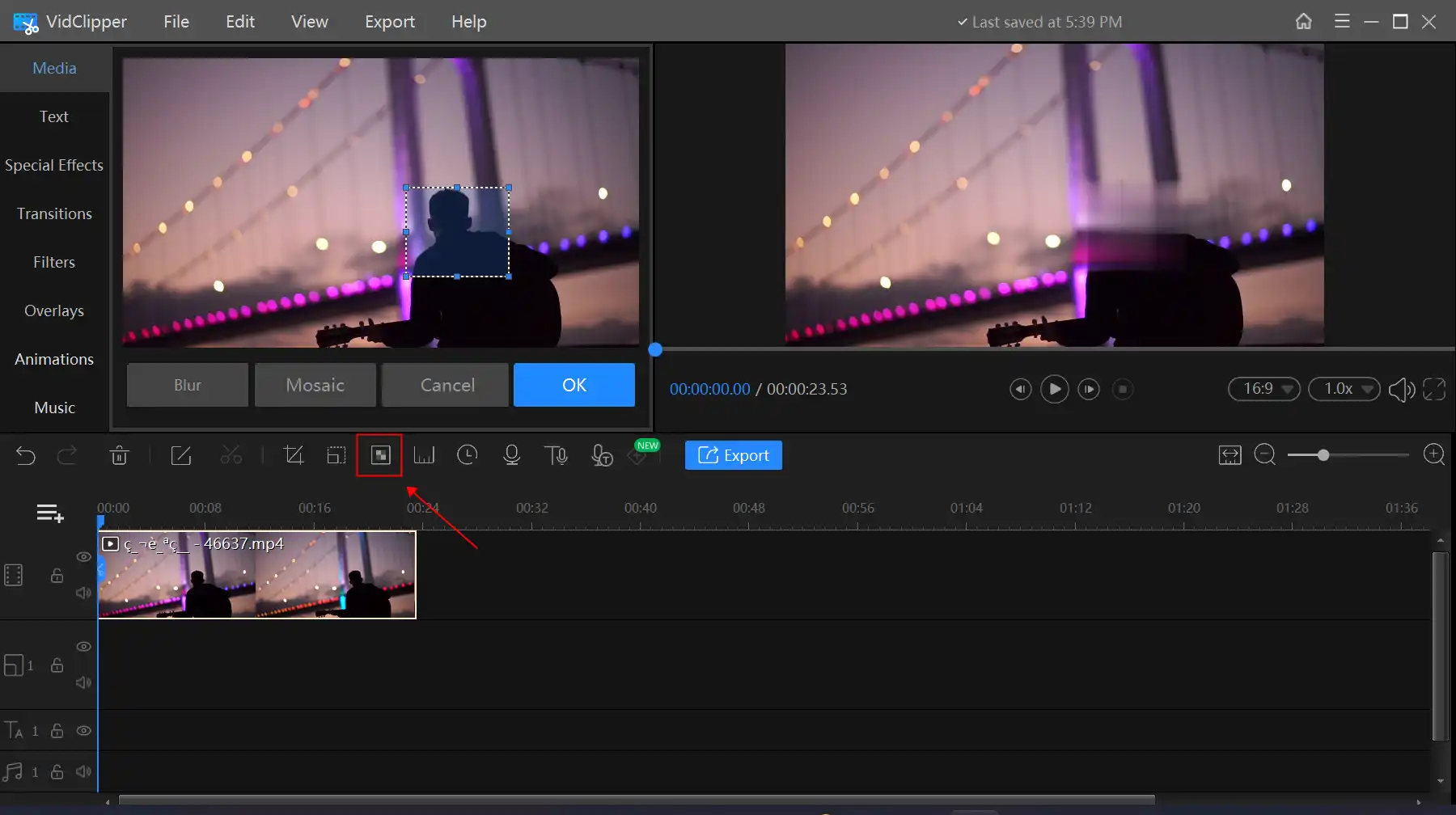 how to blur a video