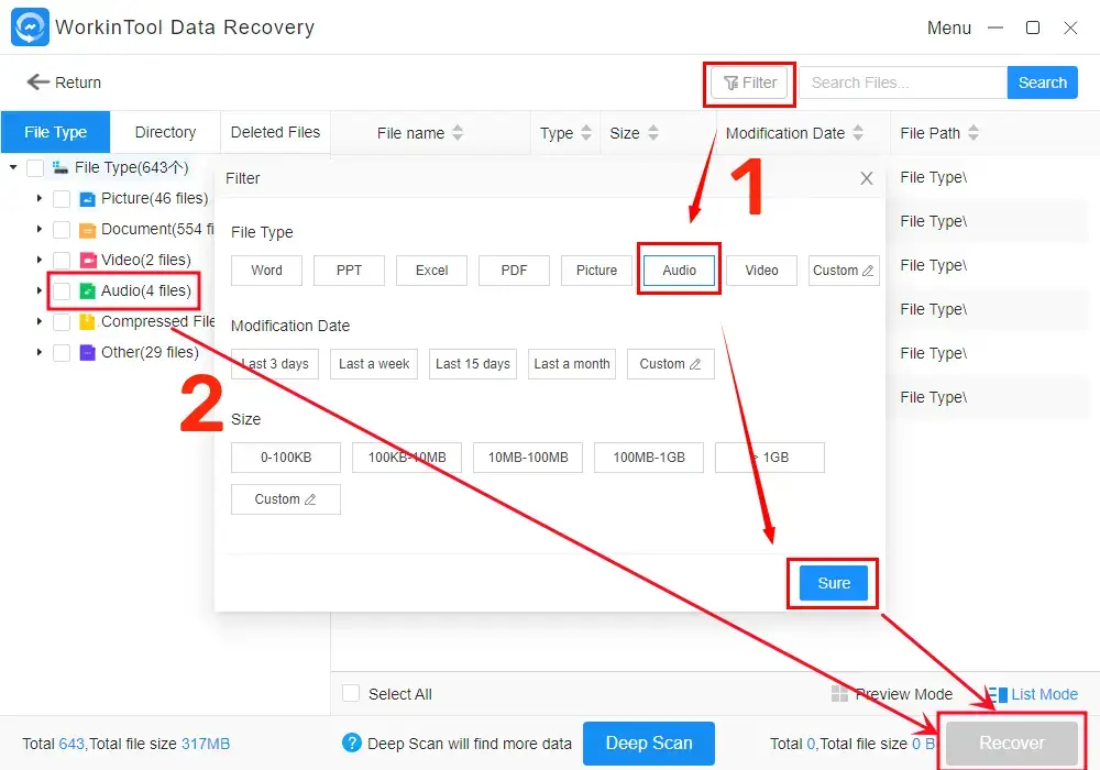 choose audio in filter feature of workintool data recovery