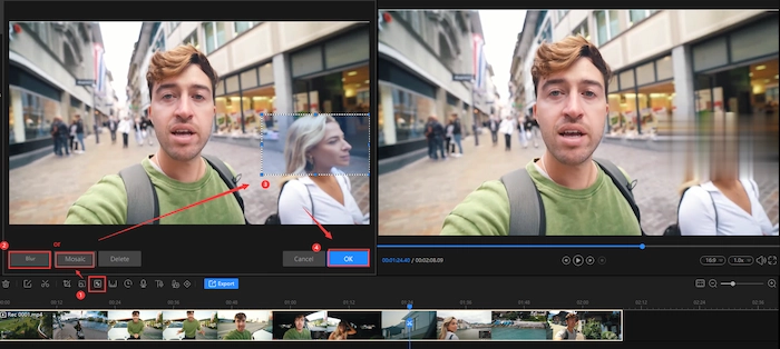choose area to blur faces in video