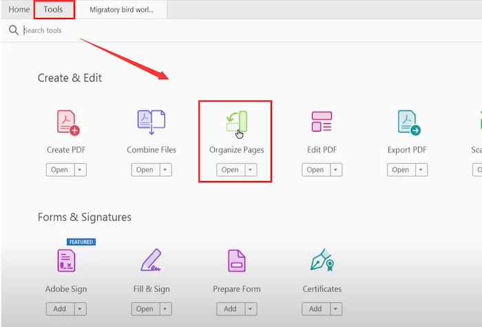 click organize pages in mac adobe