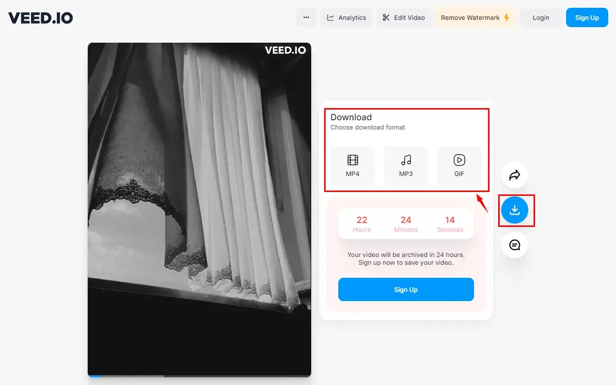 how to make a video black and white in veed.io 3