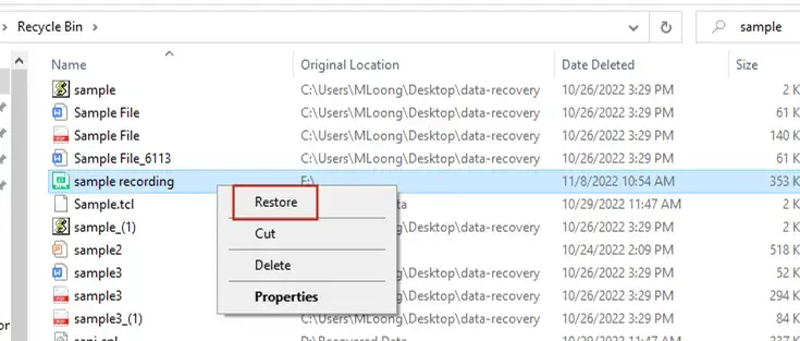 how to recover deleted files from voice recorder in recycle bin