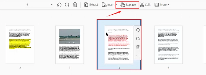 replace page in pdf with adobe