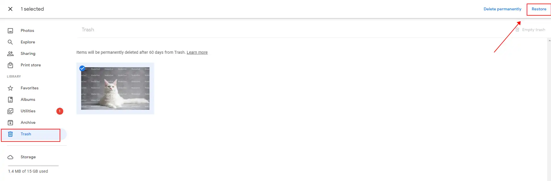 retrieve google backup photos