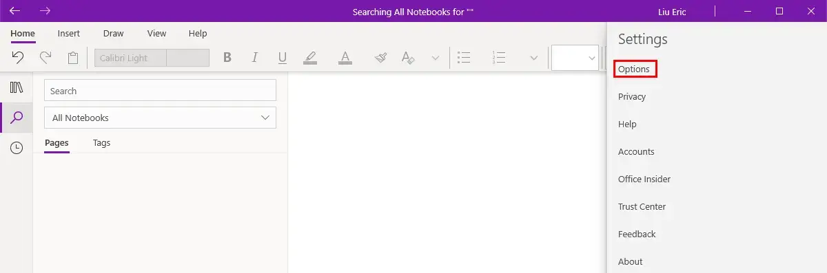 select options in onenote settings