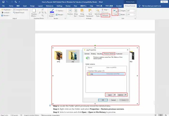 resize a pdf image in word