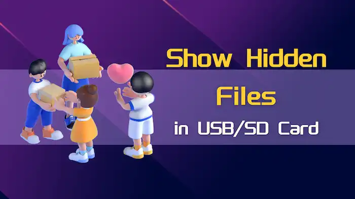 show hidden files in usb