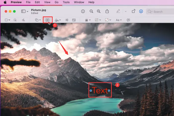 add text to an image with preview