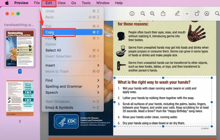 how to convert pdf to word in preview