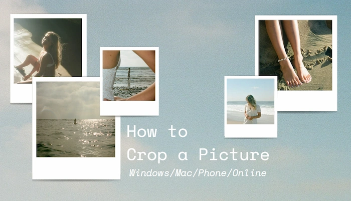how-to-crop-a-picture