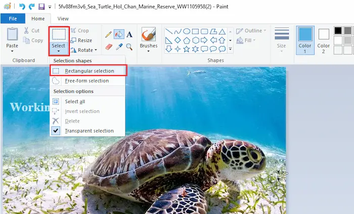 select the text in paint
