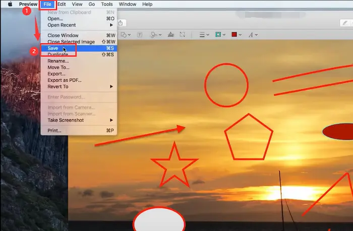 add shapes to pdf in preview