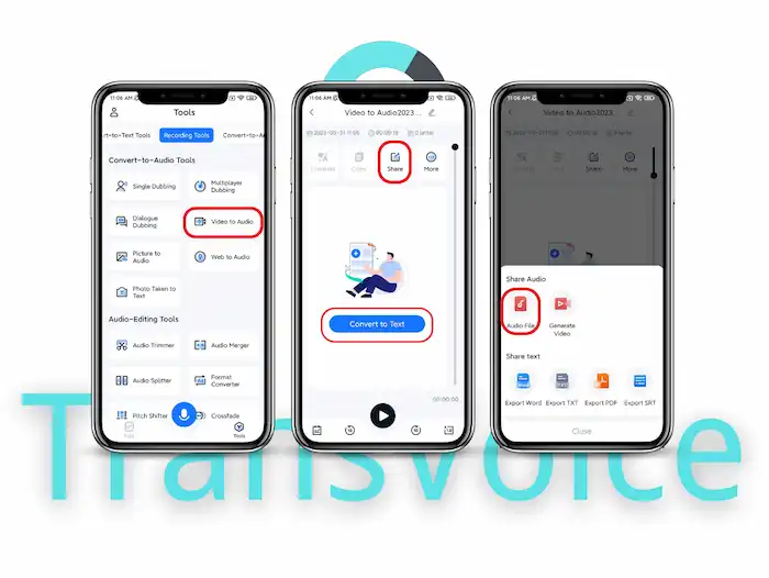 convert video to audio transvoice