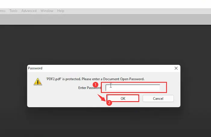 enter password in adobe