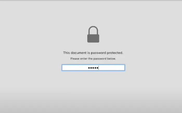 enter the password in preview