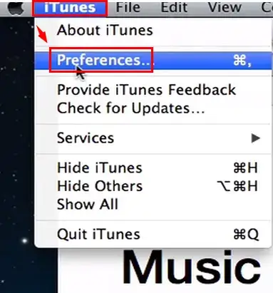 find preferences in itunes