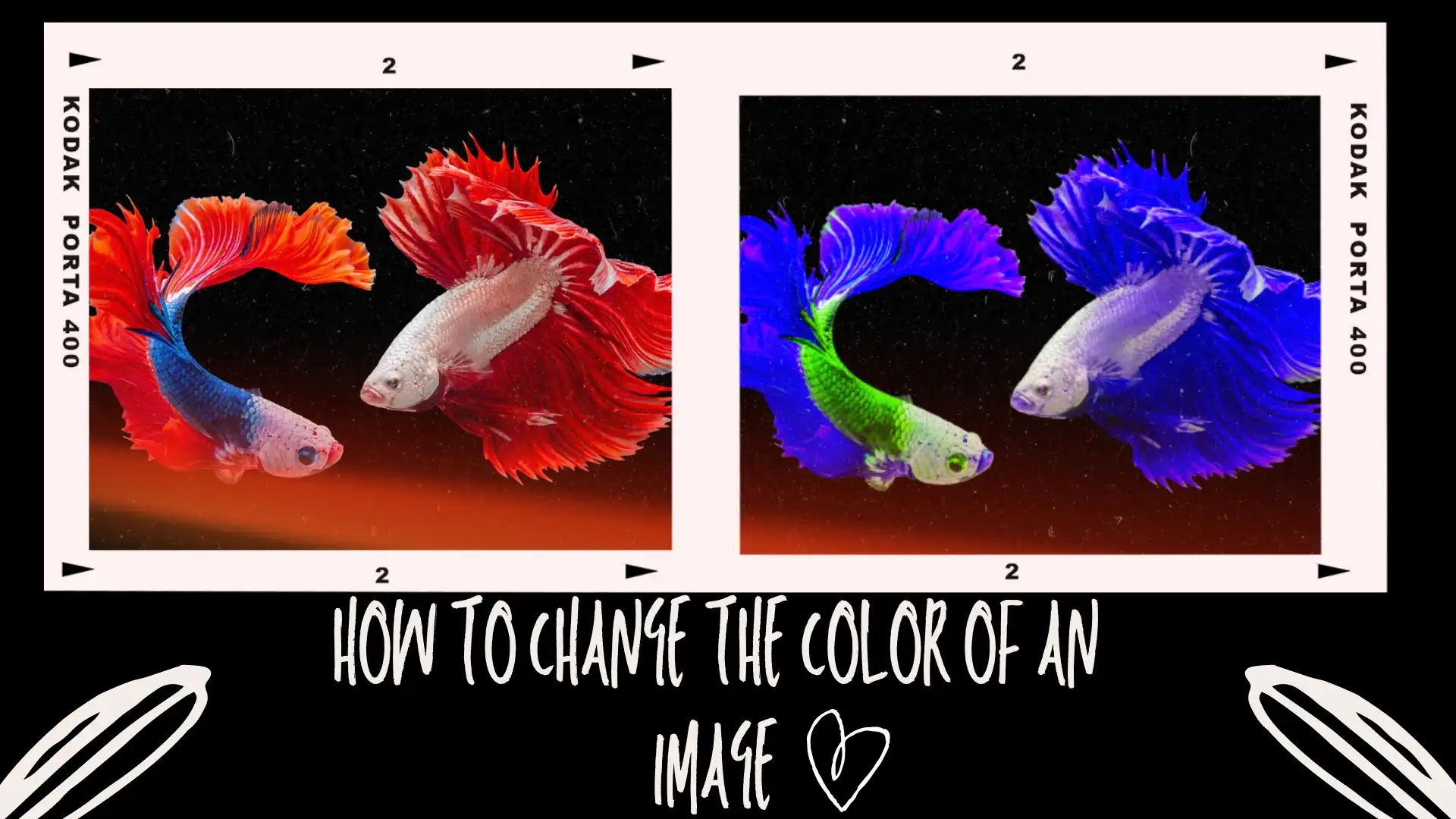 how to change the color of an image poster