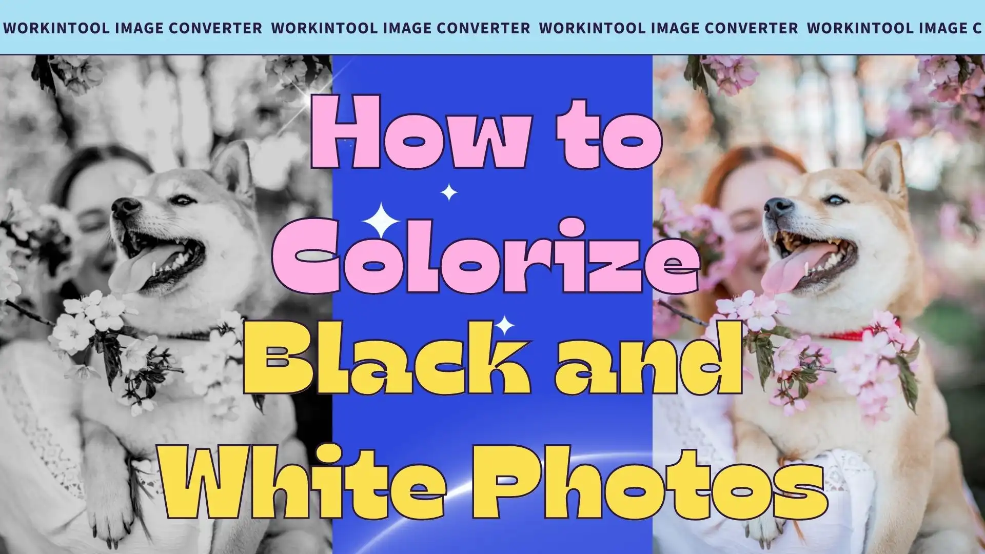 how to colorize black and white photos poster