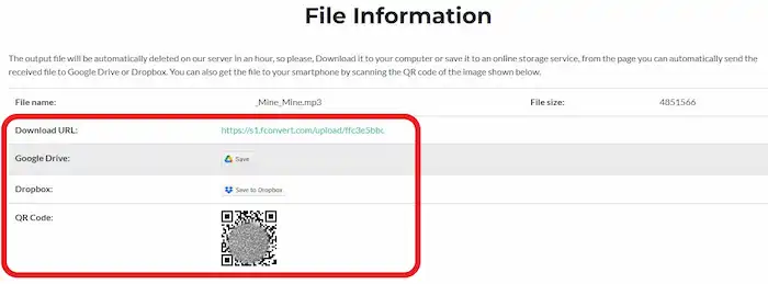 downoad file information